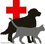 Manikins:  Pet First Aid