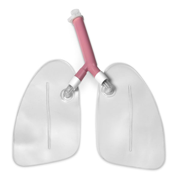 Replacement Lungs for Life/form® �Airway Larry� Airway Management Trainer Manikins