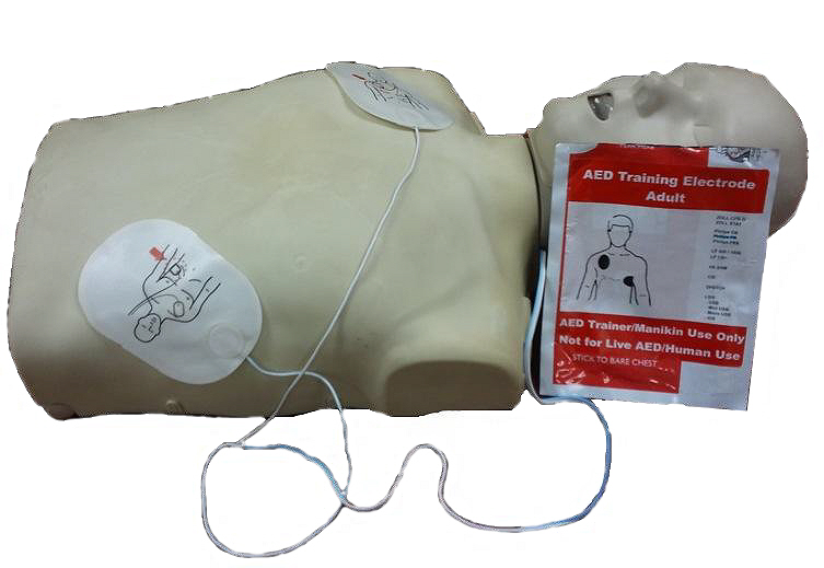 ET3 - Adult Electrode 